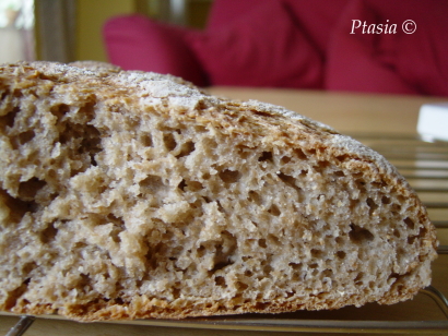 Chleb drożdżowy na zakwasie (tylko trochę oszukanym)
