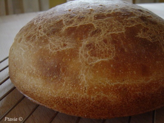 Weekendowe pieczenie chleba – grecki chleb na zakwasie